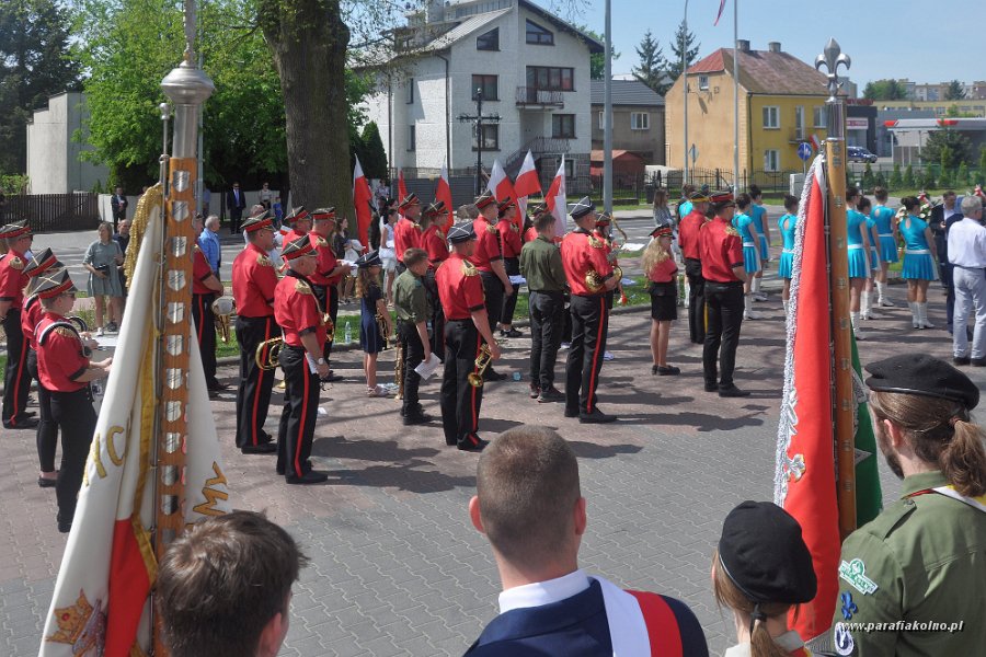 136 Patriotyczna manifestacja.jpg